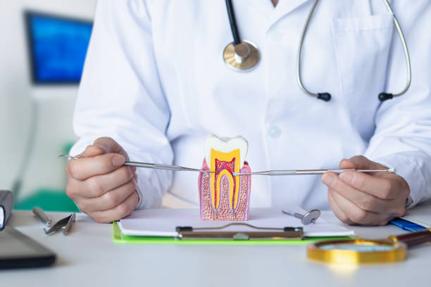Best Cosmetic Emergency Dentistry in Anchorage, KY